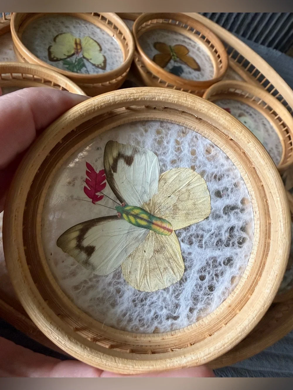 READ VTG Taxidermy Butterfly Coasters and Wicker Tray Bamboo Dried Flowers